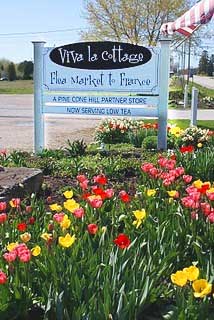 Vintage Nest of Door County… a Celebration of Spring’s Blooming Bounty