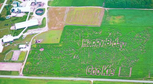 Celebrate Cookie’s 10th Birthday in this Year’s Annual Dairy View Corn Maze now Open Daily