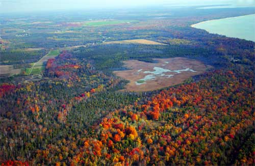 Recent Purchase Protects Centerpiece Parcel at DCLT’s Kellner Fen Nature Preserve