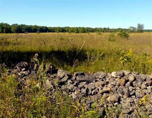 Purchase Expands Door County Land Trust’s Lautenbach Woods Nature Preserve by Over 50%