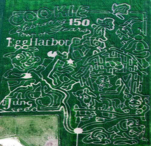 2011 Dairy View Corn Maze Features Town of Egg Harbor’s Sesquicentennial