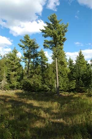 Land Trust Announces Largest Conservation Purchase in Door County in Nearly 50 Years