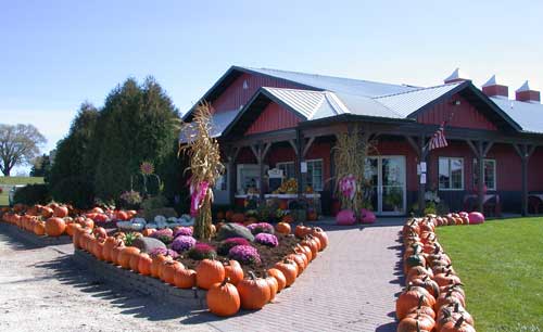 Dairy View’s Annual Pink Pumpkin Patch Fundraiser to Benefit Cancer Research, Oct 5