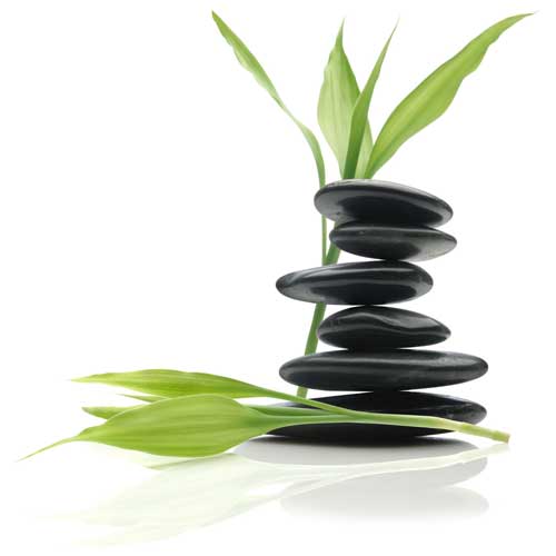 Two Upcoming Community Health Fairs Present Pathways to Wellness, Oct